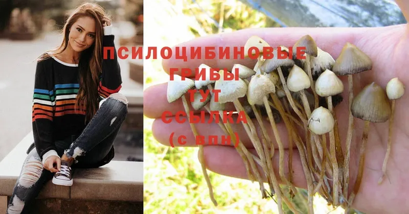 Галлюциногенные грибы MAGIC MUSHROOMS Сарапул